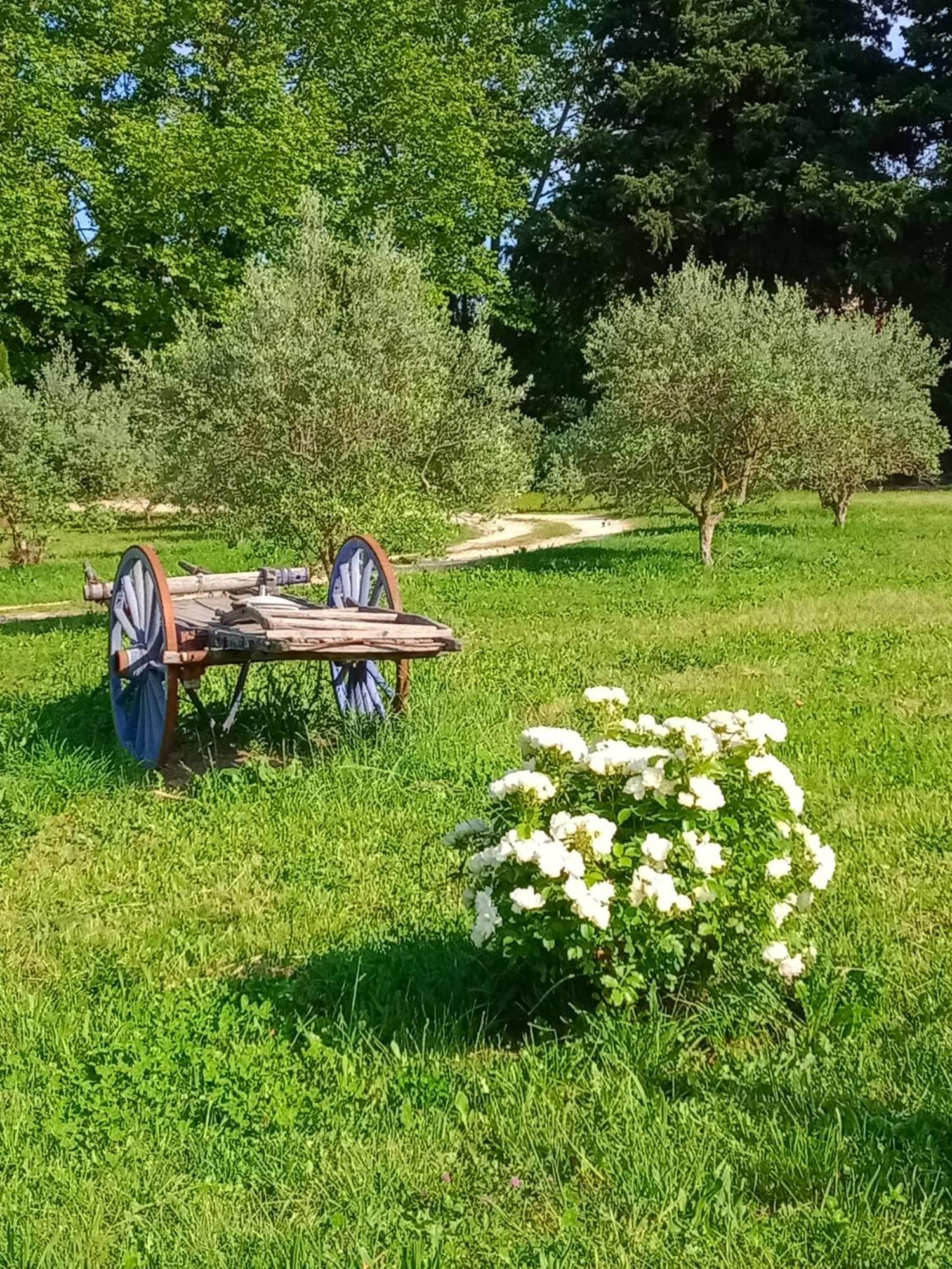 Vila Mas De Karlotte Pernes-les-Fontaines Exteriér fotografie